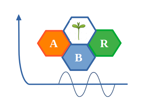 ABR Logo